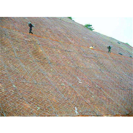 广安区山体滑坡防护网,边坡防护网,山体滑坡防护网安装