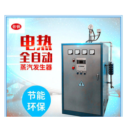 台锅锅炉-江苏全自动蒸汽发生器-全自动蒸汽发生器参数
