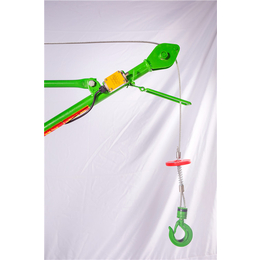 小型吊机型号/小型吊机价格、东弘起重、小型吊机