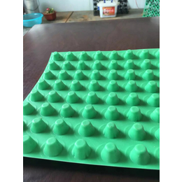 淮南绿化塑料排水板凹凸型塑料排蓄水板