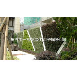 办公室绿化墙价格-广州办公室绿化墙-一枝花绿化