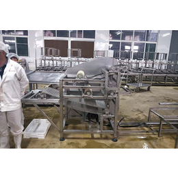 震星豆制品机械设备_西藏豆腐干机_豆腐干机厂家