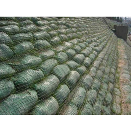 河道护坡植生袋供应商,恒路通(在线咨询),贵州河道护坡植生袋