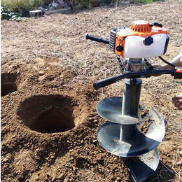 供应手提式挖坑机-手提式挖坑机-天恒机械品质保证(查看)