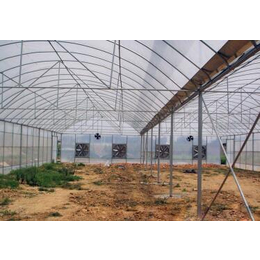 青州鑫华生态农业(图)|玻璃温室|和田温室
