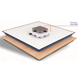 合肥远川(图)|防静电地板生产厂家|合肥防静电地板