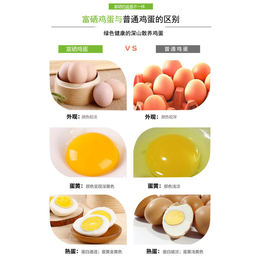 鸡蛋批发、知硒堂(在线咨询)、衢州鸡蛋