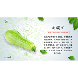 青昀初阳农业科技公司(图)_企业蔬菜采购平台_东丽企业蔬菜