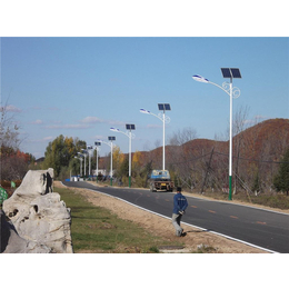 东龙新能源公司(图),便携式太阳能路灯,太阳能路灯