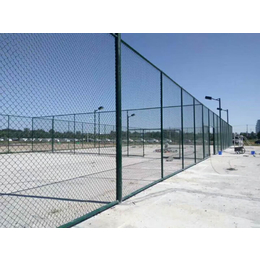 热镀锌pvc包塑勾花网 球场防护围栏网 隔离网菱形钢丝网