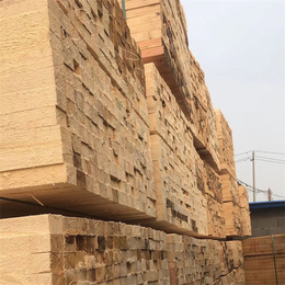 国鲁工贸(在线咨询)-木材加工厂-木材加工厂哪家强