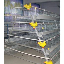 阶梯式蛋鸡笼|吉特佳养殖设备种类|五莲阶梯式蛋鸡笼厂家