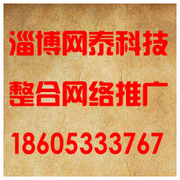 张店做优化的网络公司联系方式,淄川网络公司,淄博网泰科技