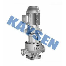 进口热水循环泵特点-德国KAYSEN品牌缩略图