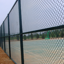 铜仁市球场围栏网运动场防护网厂家 