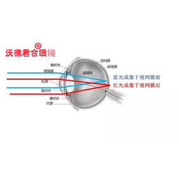 防蓝光眼镜有哪些种类 护眼-沃德君合眼镜-漳州防蓝光眼镜