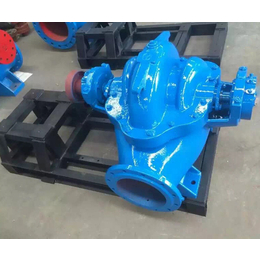 10SH-9A双吸泵_北工泵业(在线咨询)_丹东双吸泵