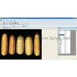 应用玉米育种自动考种仪提升玉米种子质量