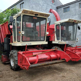 地滚刀式玉米秸秆收割粉碎机  皇竹草收割机 大型苜蓿草青储机 