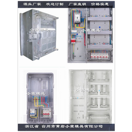 国网标准三相6电表箱塑胶模具