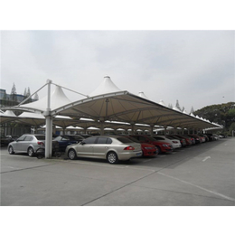 膜结构停车棚安装、蓬运棚业(在线咨询)、膜结构停车棚