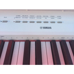 雅马哈电钢琴重锤88键盘 白色* 加白色豪华钢琴凳 缩略图
