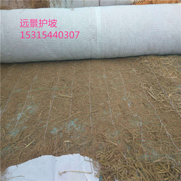 玉溪厂家供应生态毯山体防护麻椰固土毯 椰丝毯绿化毯