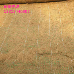 合肥厂家*植生毯 河道护坡植物纤维毯植被毯