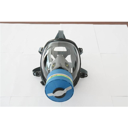 武汉防毒面具-武汉菜鸟消防器材-硅胶防毒面具
