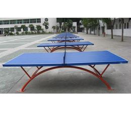 威海乒乓球台_征途体育公司_单折移动式乒乓球台厂家
