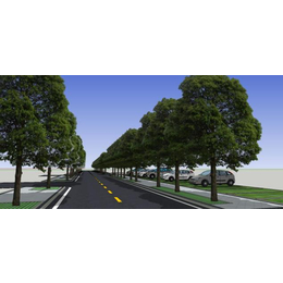 农梦达生物公司(图)|校园行道树|东西湖行道树