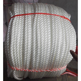凯利绳网(图)|厂家*圆丝绳|菏泽圆丝绳