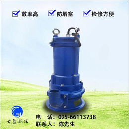 甘肃泵、南京古蓝环保设备工厂、环保泵