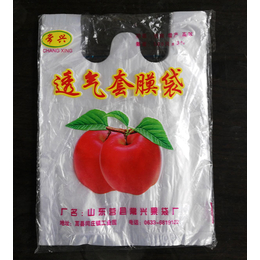 塑膜苹果袋批发,塑膜苹果袋,莒县常兴塑膜(查看)