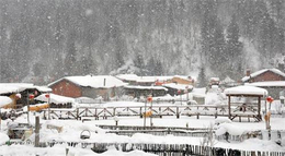 泰安到雪乡旅游线路-泰山金辉国旅-泰安到雪乡旅游