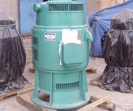 泰山泵业水泵-铜川900ZLB轴流泵