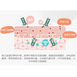 类人肽、线雕、线雕*恢复过程图片