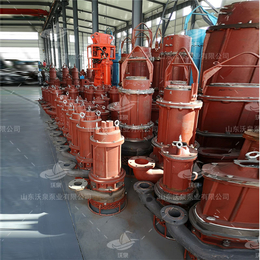 耐热煤浆泵 高*浆体泵 高温矿渣泵废渣泵