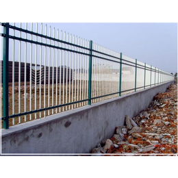 围墙栏杆、南京熬达围栏(在线咨询)、苏州围墙栏杆