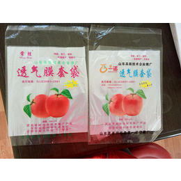 青海苹果套袋-莒县常兴塑膜-供应苹果套袋