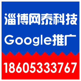 淄博谷歌外贸推广、淄博网泰科技(在线咨询)、张店外贸推广