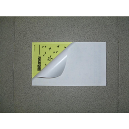 博能环保出*灭蝇纸型号,漳州灭蝇纸