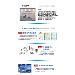 南京雷速电气有限公司|LESOON-DFP-032X