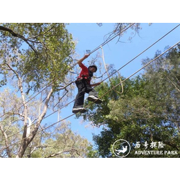 历奇探险-树上探险乐园-树梢探险森林探险缩略图