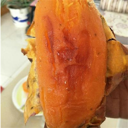 地瓜-禾田薯业批发零售-哪家的地瓜甜