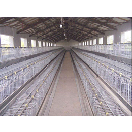 蛋鸡笼价格|良丰畜牧|扬州蛋鸡笼