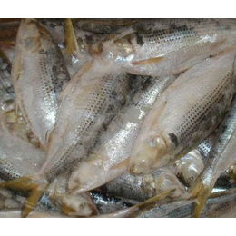 巴布新几内亚进口海鲜标签代理