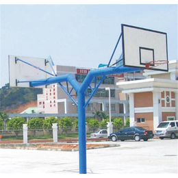 大型篮球架价格|时迁体育器材(在线咨询)|天津篮球架价格