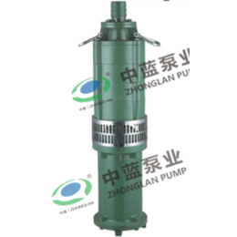 QY充油式潜水电泵 农业排灌 图
