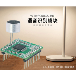 语音芯片公司-广州唯创(在线咨询)-语音芯片